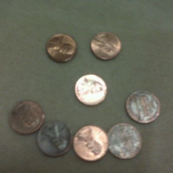 Meet your Posher, Penny - Picture 1 of 1